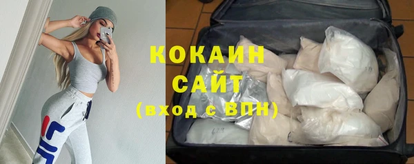 сатива Абинск