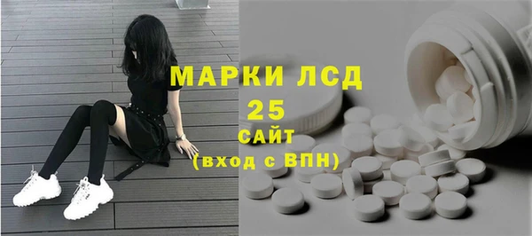 сатива Абинск