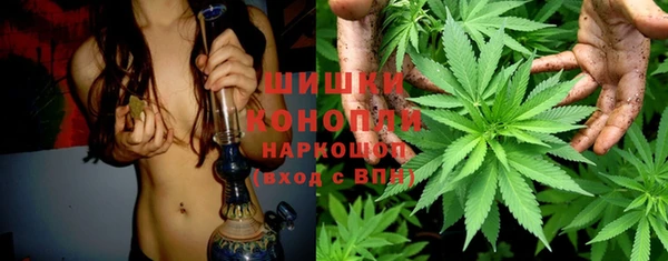 сатива Абинск