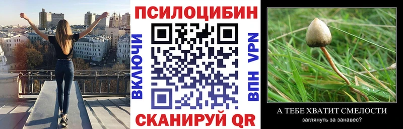 Псилоцибиновые грибы Psilocybine cubensis  блэк спрут онион  Аксай 